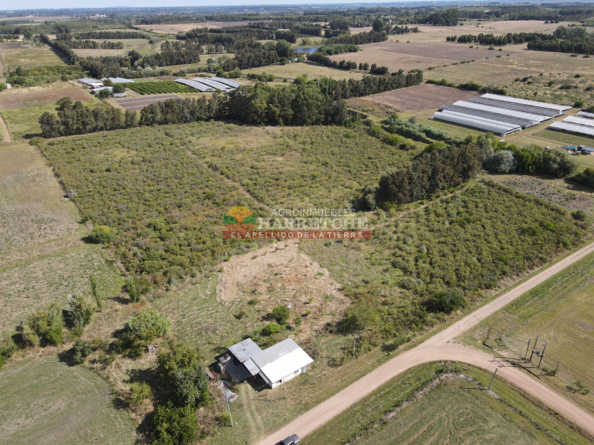 Chacra ID.508 -  Chacra en Los Cerrillos, 4 has, monoambiente, cañada, tajamar! 