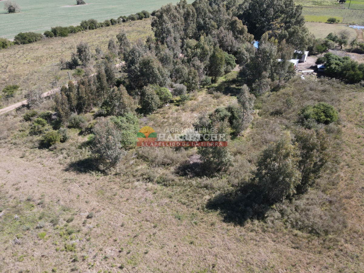 Chacra ID.538 - Chacra de 2 has en Los Cerrillos, zona alta, hermoso lugar!