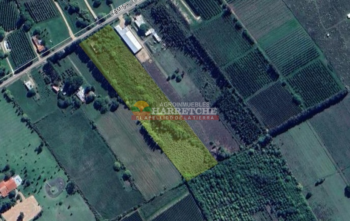 Chacra ID.374 - Chacra en Cuatro Piedras, 2 has con casa, galpón, muy buen lugar.