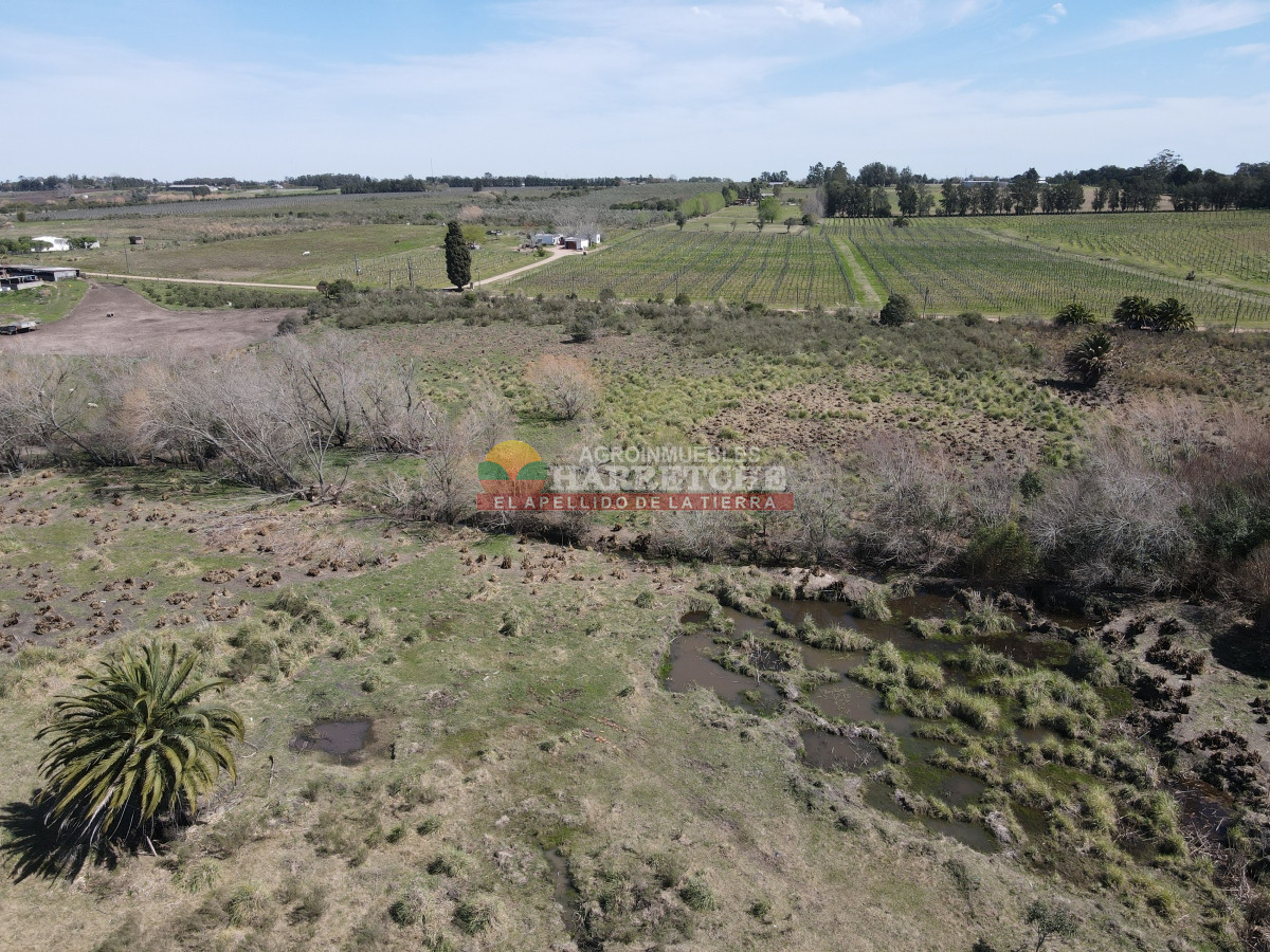 Chacra ID.334 - Chacra en venta 7 has. Montevideo rural, a 1 km de Camino Mendoza