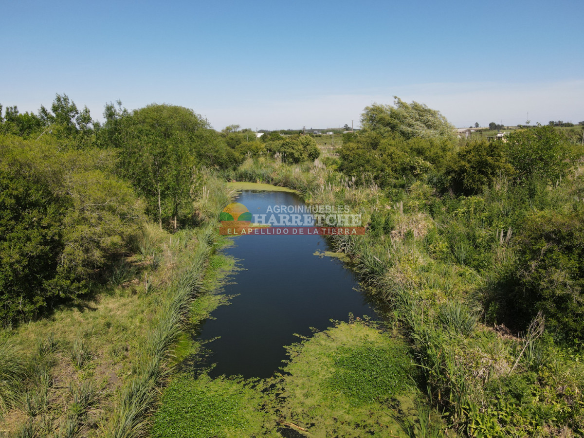 Chacra ID.493 - Chacra en Los Cerrillos, 4 has con casa, galpón, arroyo!