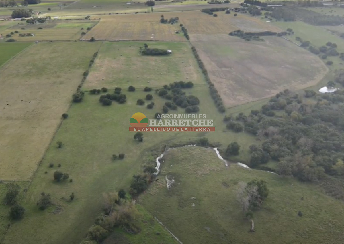 Chacra ID.384 - Chacra de 5 has en Los Cerrillos, cañada, alambrados, muy lindo entorno!