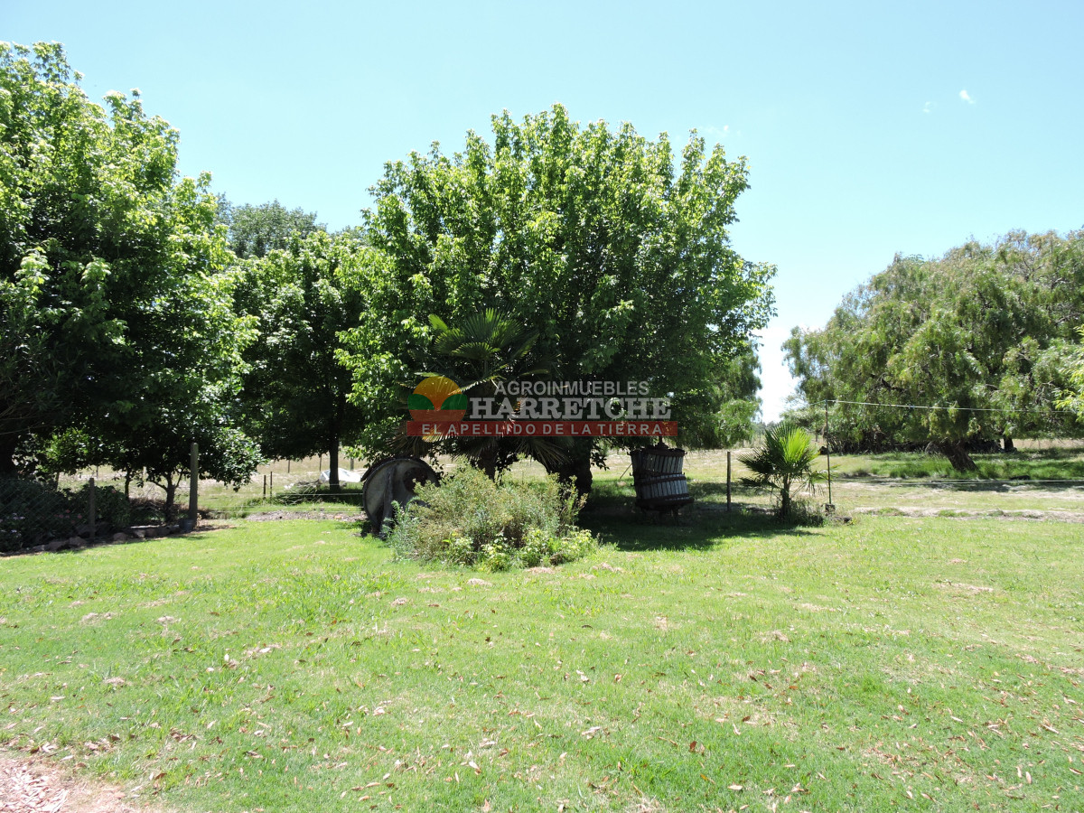 Chacra ID.431 - Chacra en Los Cerrillos, 5.7 has, Casa, barbacoa, galpones. 