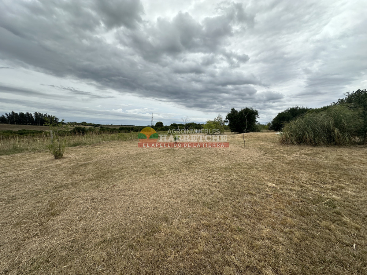 Chacra ID.503 - Chacra en Rincón del Colorado, 3 has, 2 casas, piscina.