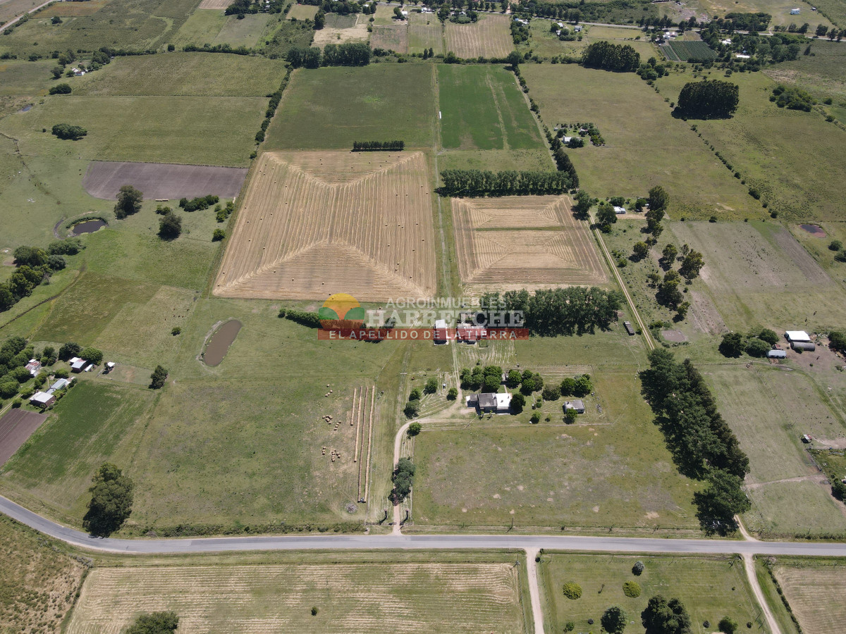 Chacra ID.431 - Chacra en Los Cerrillos, 5.7 has, Casa, barbacoa, galpones. 