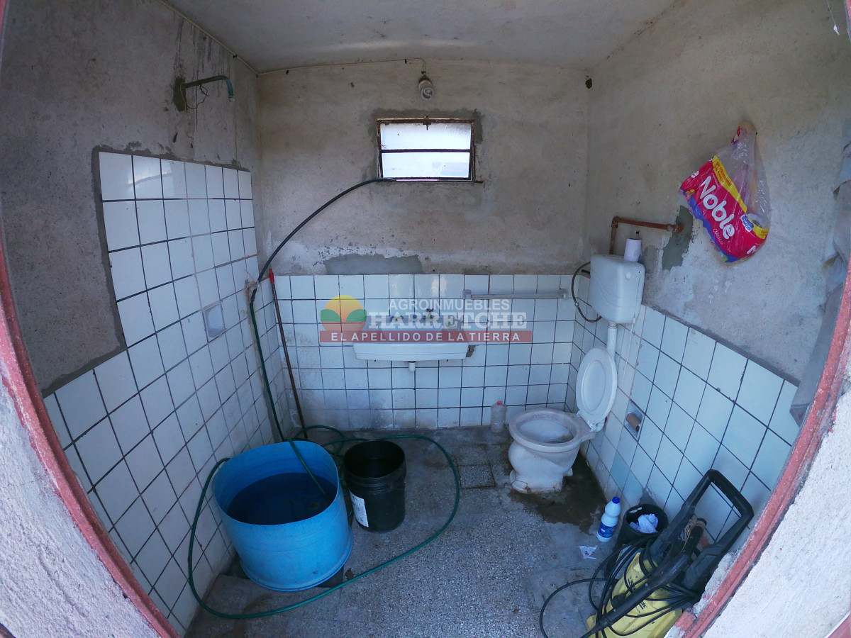 Chacra ID.431 - Chacra en Los Cerrillos, 5.7 has, Casa, barbacoa, galpones. 