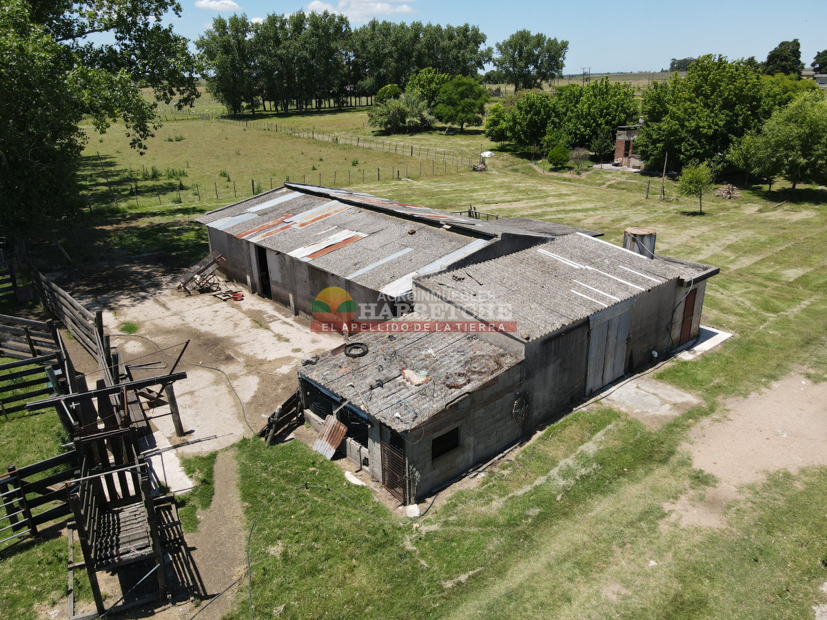 Chacra ID.431 - Chacra en Los Cerrillos, 5.7 has, Casa, barbacoa, galpones. 