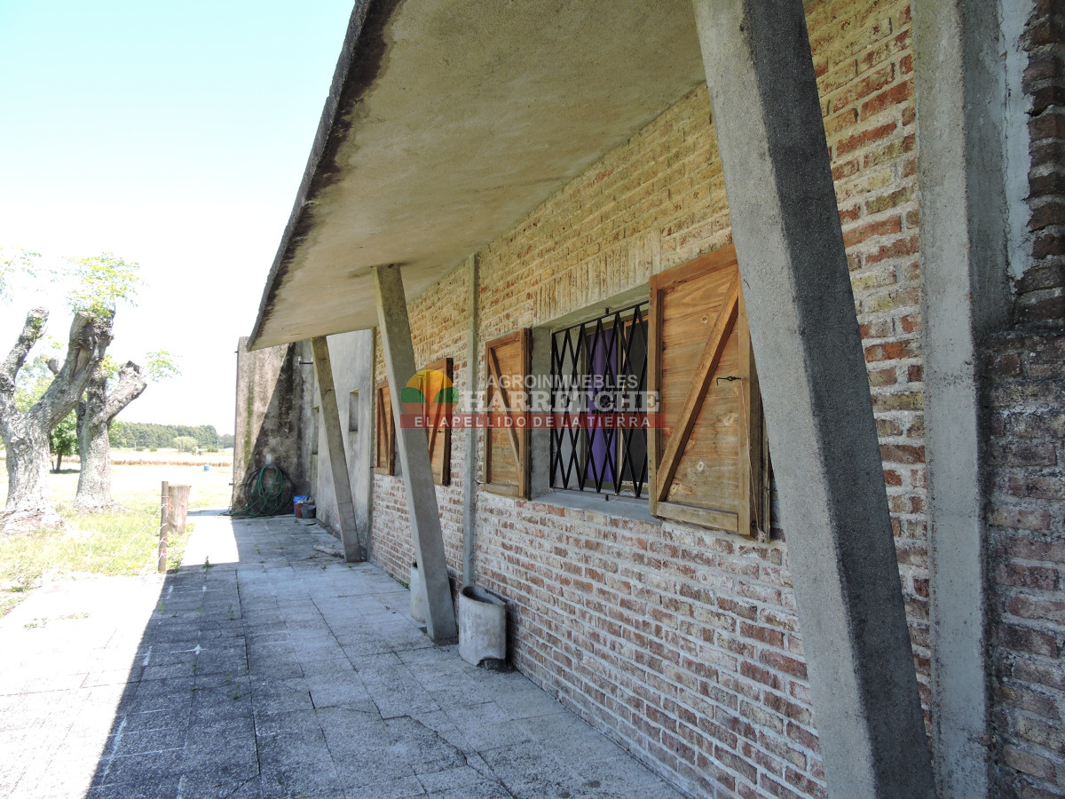 Chacra ID.431 - Chacra en Los Cerrillos, 5.7 has, Casa, barbacoa, galpones. 