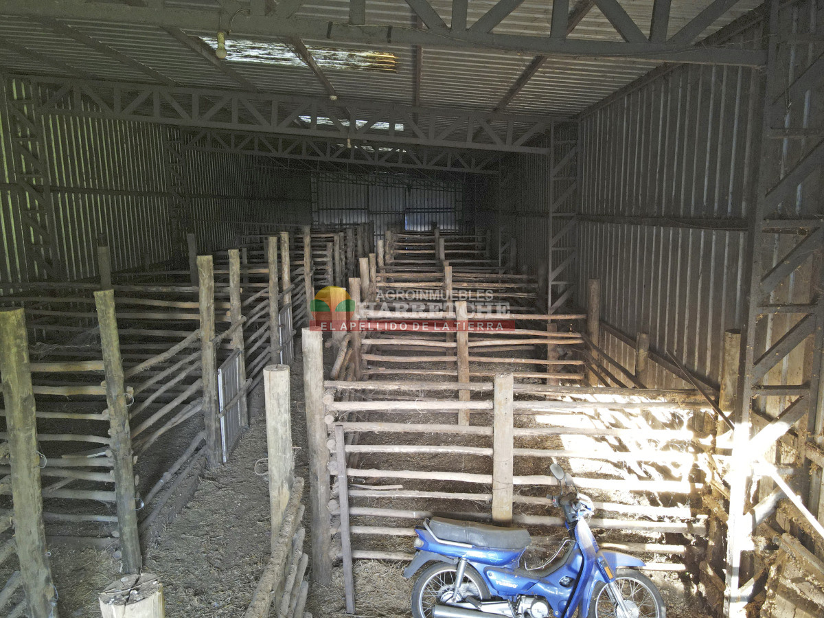 Chacra ID.446 - Chacra en Melilla, 3 has, hermoso casco, caballerizas, galpones, piscina