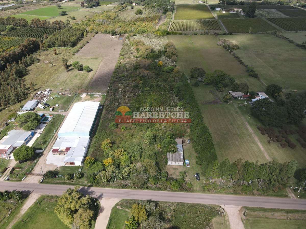 Chacra ID.374 - Chacra en Cuatro Piedras, 2 has con casa, galpón, muy buen lugar.