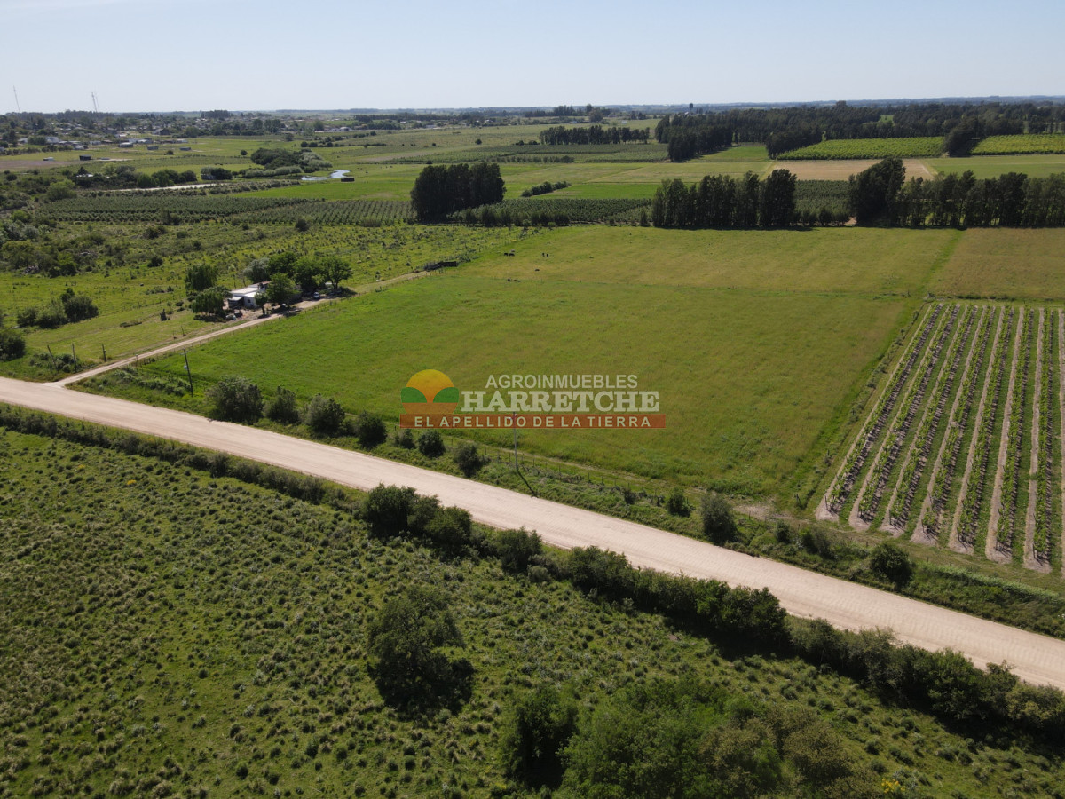 Chacra ID.492 - Chacra de 3 has en Los Cerrillos, hermoso entorno!