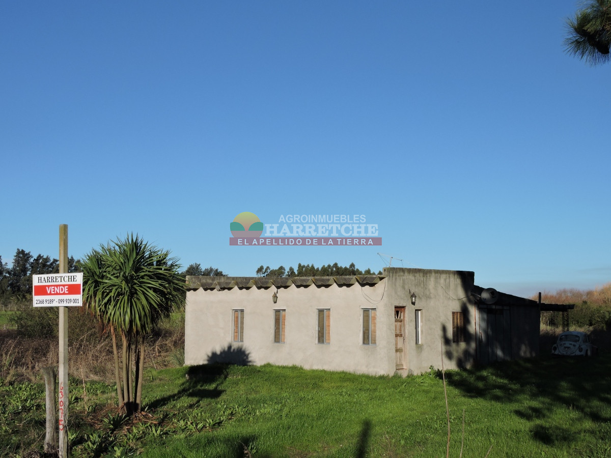 Chacra ID.374 - Chacra en Cuatro Piedras, 2 has con casa, galpón, muy buen lugar.