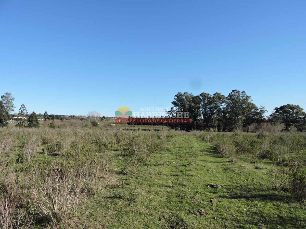 Chacra ID.415 - Chacra de 14 has a pasitos de ruta 67 y Las Piedras