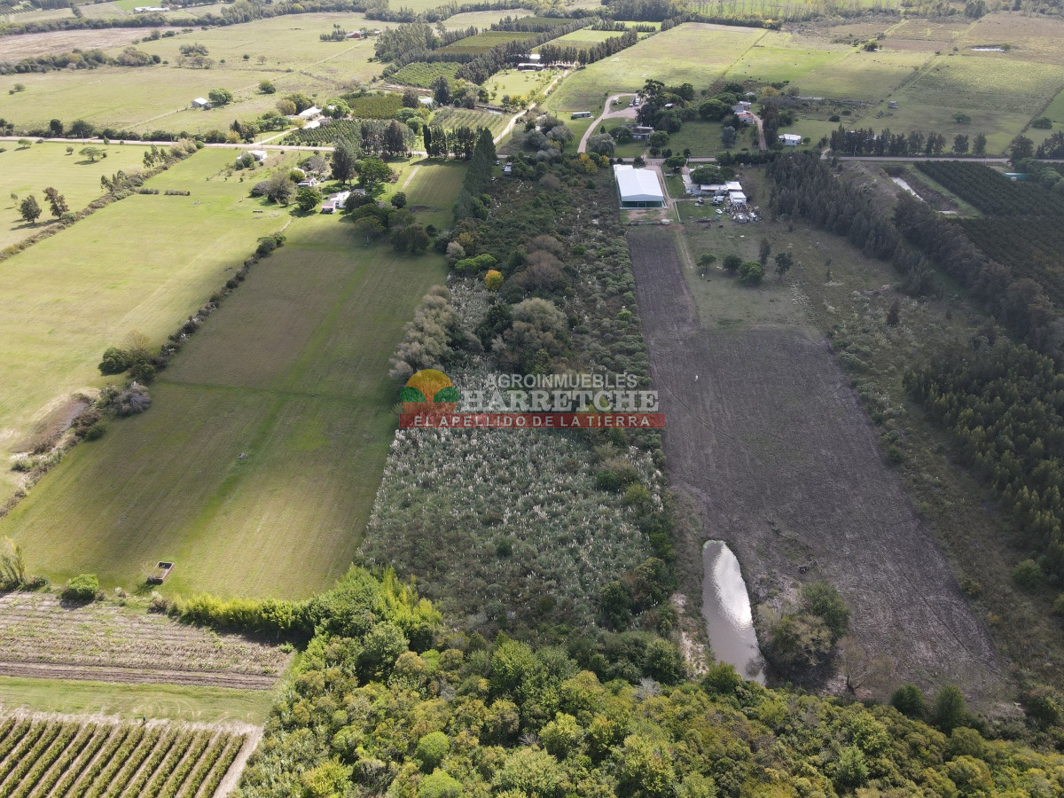 Chacra ID.374 - Chacra en Cuatro Piedras, 2 has con casa, galpón, muy buen lugar.