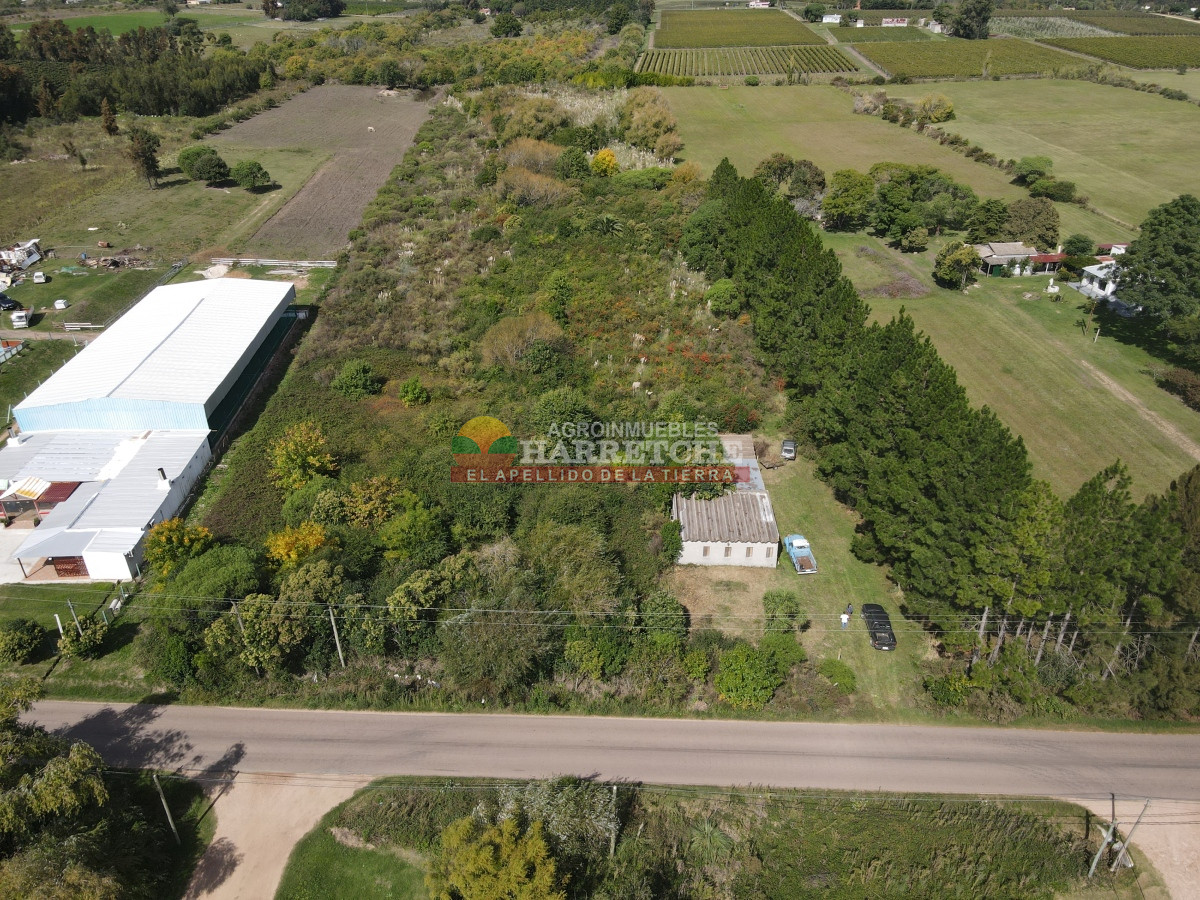 Chacra ID.374 - Chacra en Cuatro Piedras, 2 has con casa, galpón, muy buen lugar.