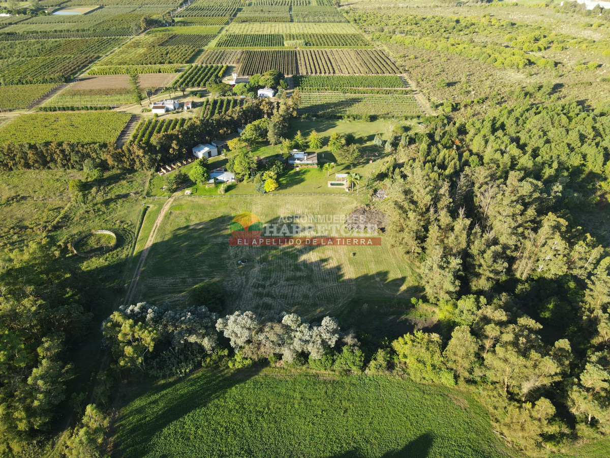 Chacra ID.446 - Chacra en Melilla, 3 has, hermoso casco, caballerizas, galpones, piscina