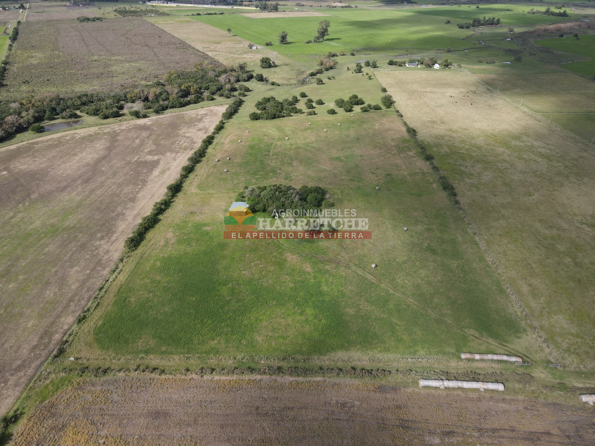 Chacra ID.384 - Chacra de 5 has en Los Cerrillos, cañada, alambrados, muy lindo entorno!