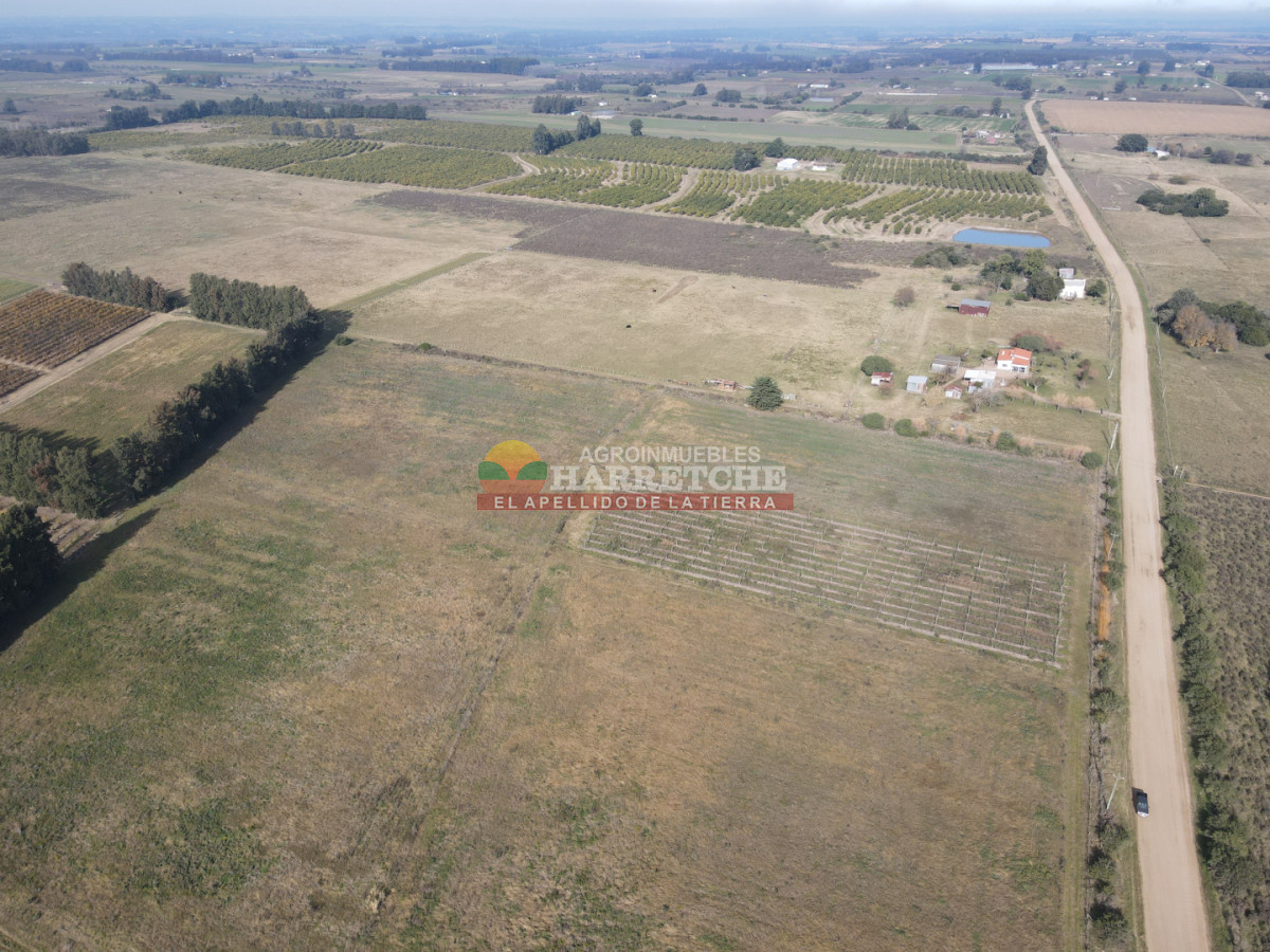 Chacra ID.530 - Chacra de 3 has en Los Cerrillos, a pasitos del pueblo!
