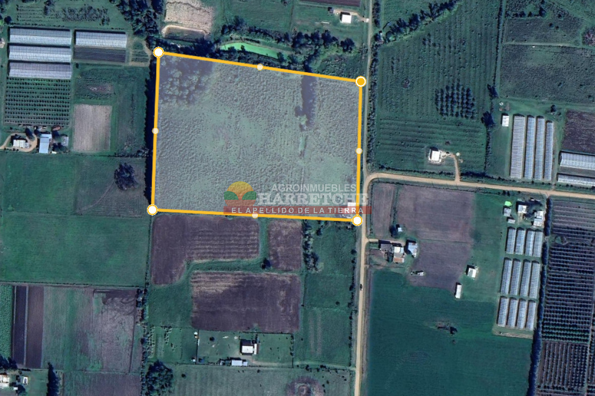 Chacra ID.508 -  Chacra en Los Cerrillos, 4 has, monoambiente, cañada, tajamar! 