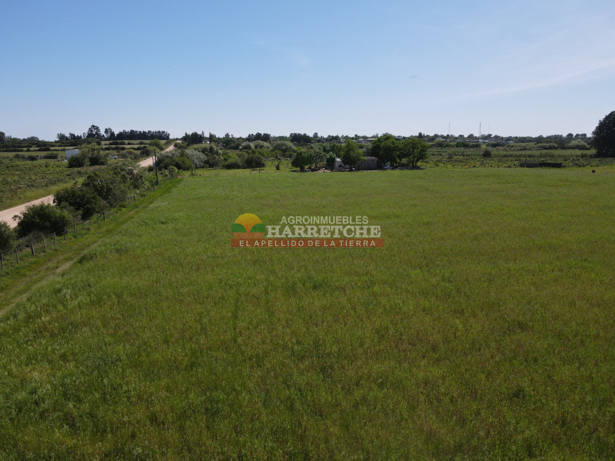 Chacra ID.492 - Chacra de 3 has en Los Cerrillos, hermoso entorno!