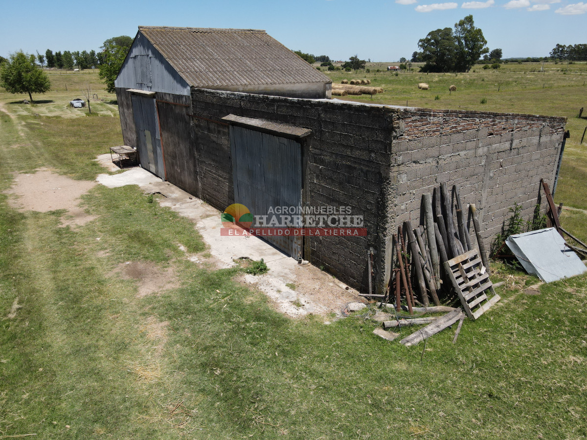 Chacra ID.431 - Chacra en Los Cerrillos, 5.7 has, Casa, barbacoa, galpones. 