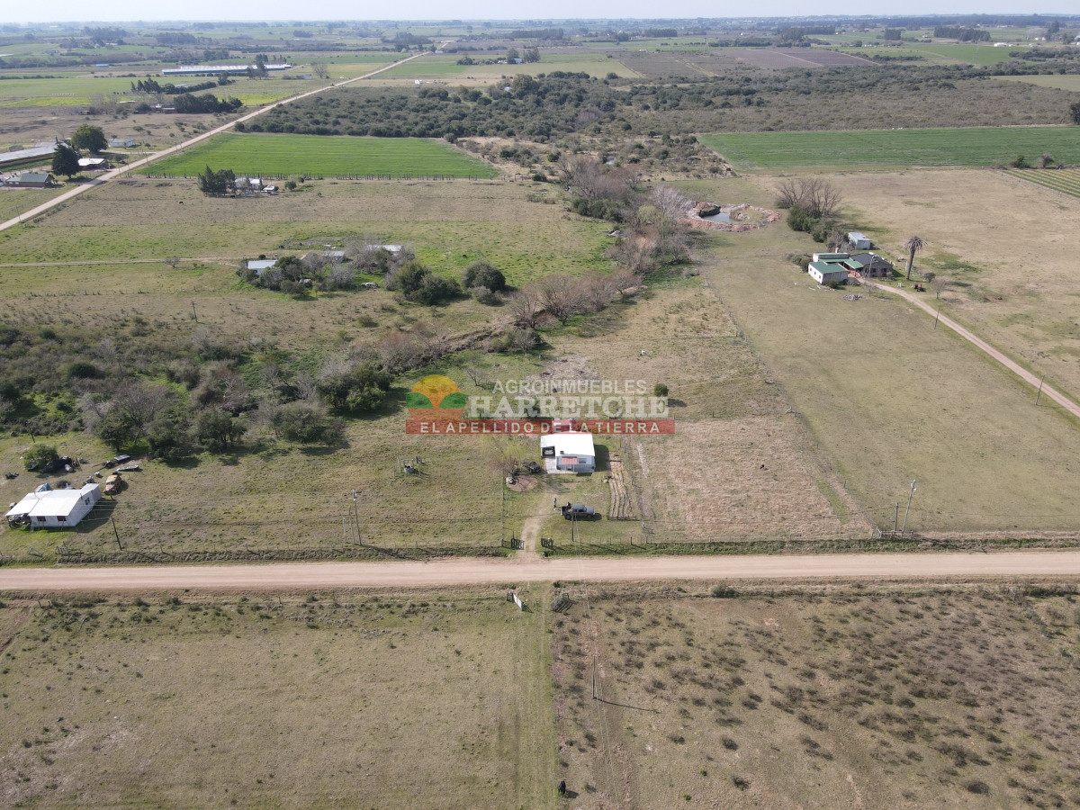 Chacra ID.332 - Chacra en venta Los Cerrillos, 1 has con casa de dos dormitorios