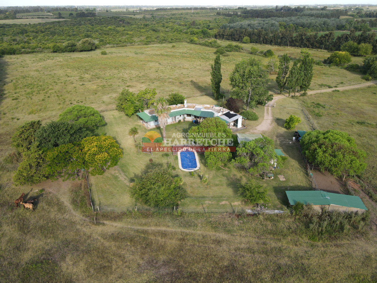 Chacra ID.448 - Chacra en Melilla, 10 has, casco de 3 dormitorios, 2 baños, piscina, galpón.