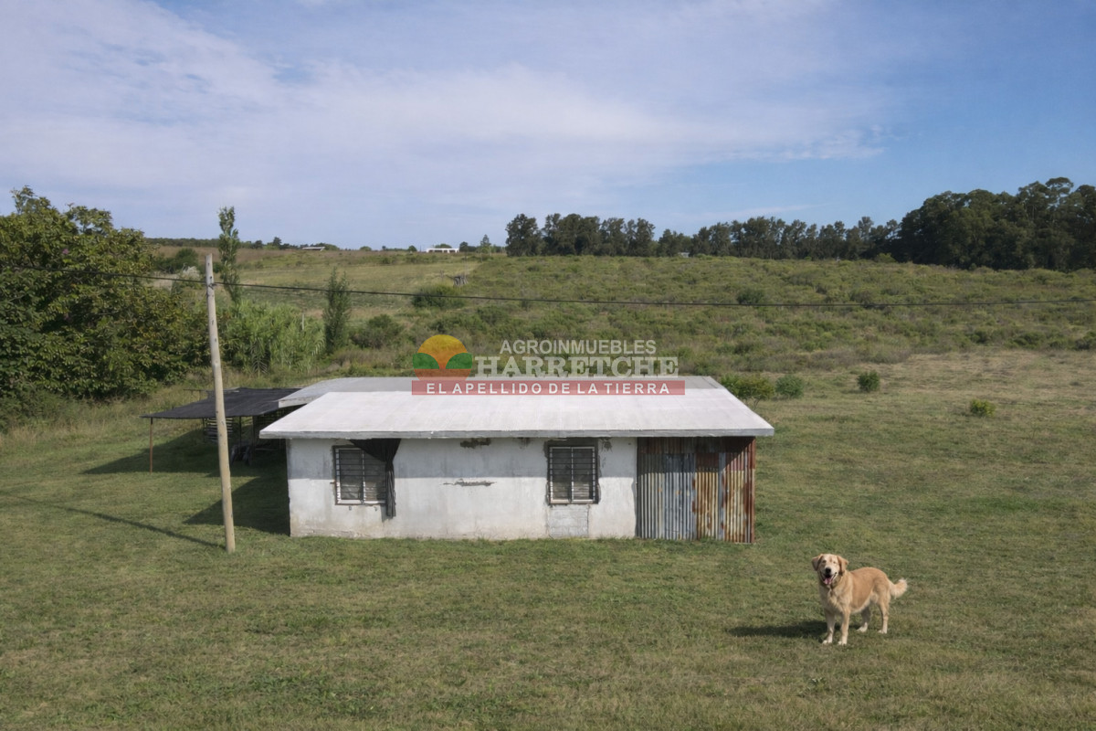 Chacra ID.508 -  Chacra en Los Cerrillos, 4 has, monoambiente, cañada, tajamar! 