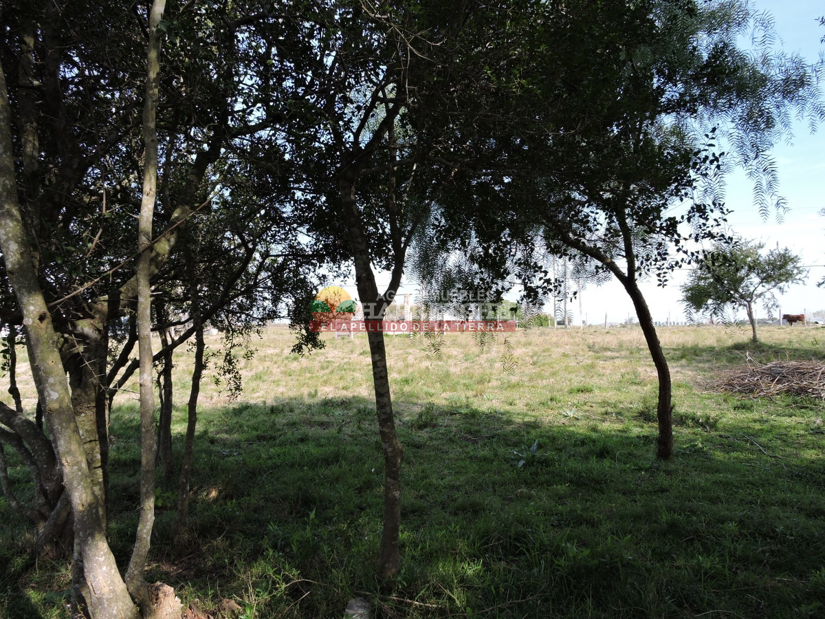 Chacra ID.332 - Chacra en venta Los Cerrillos, 1 has con casa de dos dormitorios