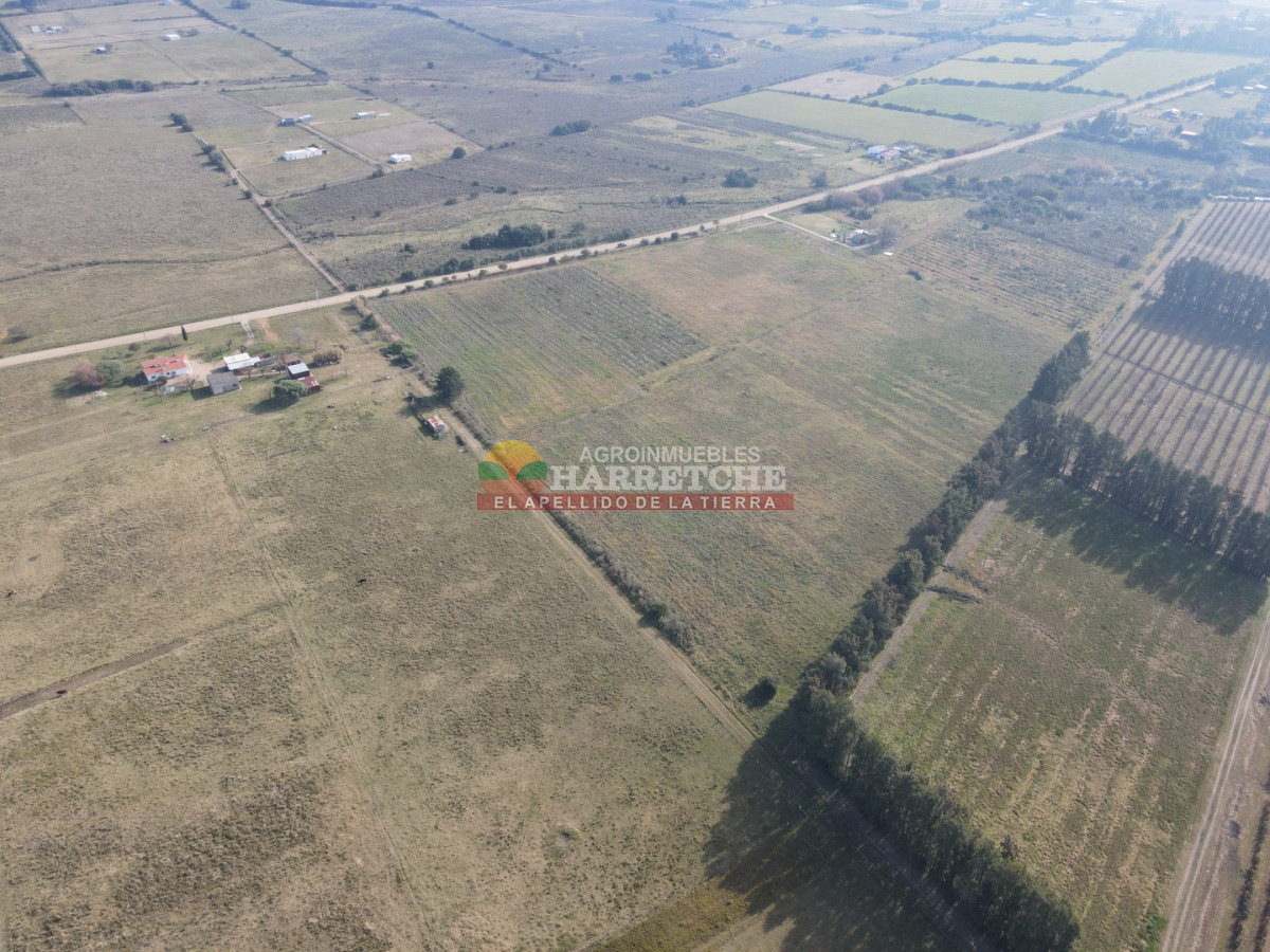 Chacra ID.530 - Chacra de 3 has en Los Cerrillos, a pasitos del pueblo!