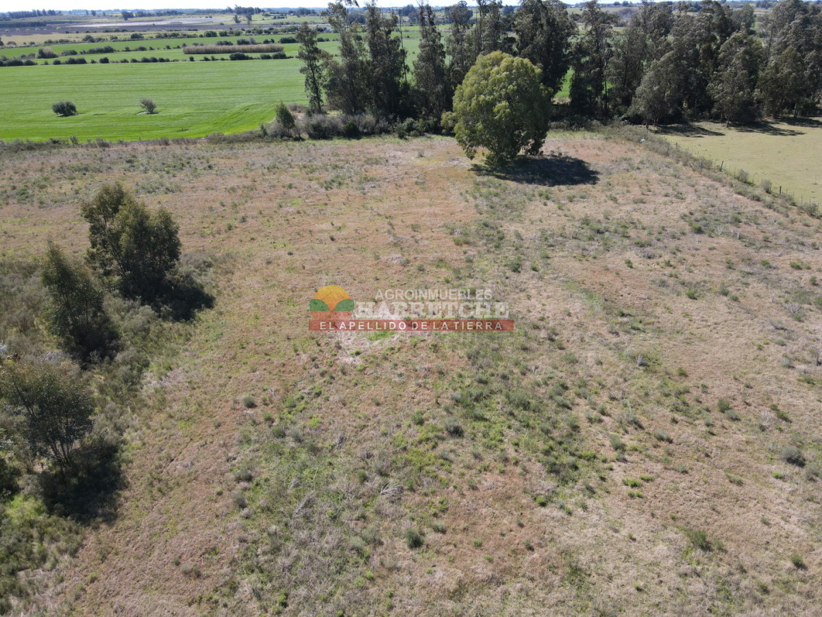 Chacra ID.538 - Chacra de 2 has en Los Cerrillos, zona alta, hermoso lugar!