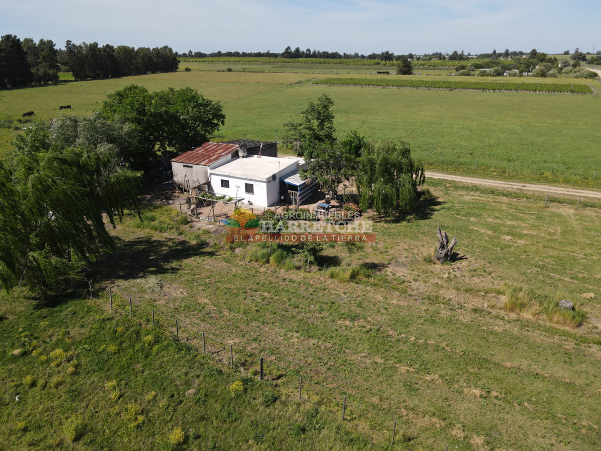 Chacra ID.493 - Chacra en Los Cerrillos, 4 has con casa, galpón, arroyo!