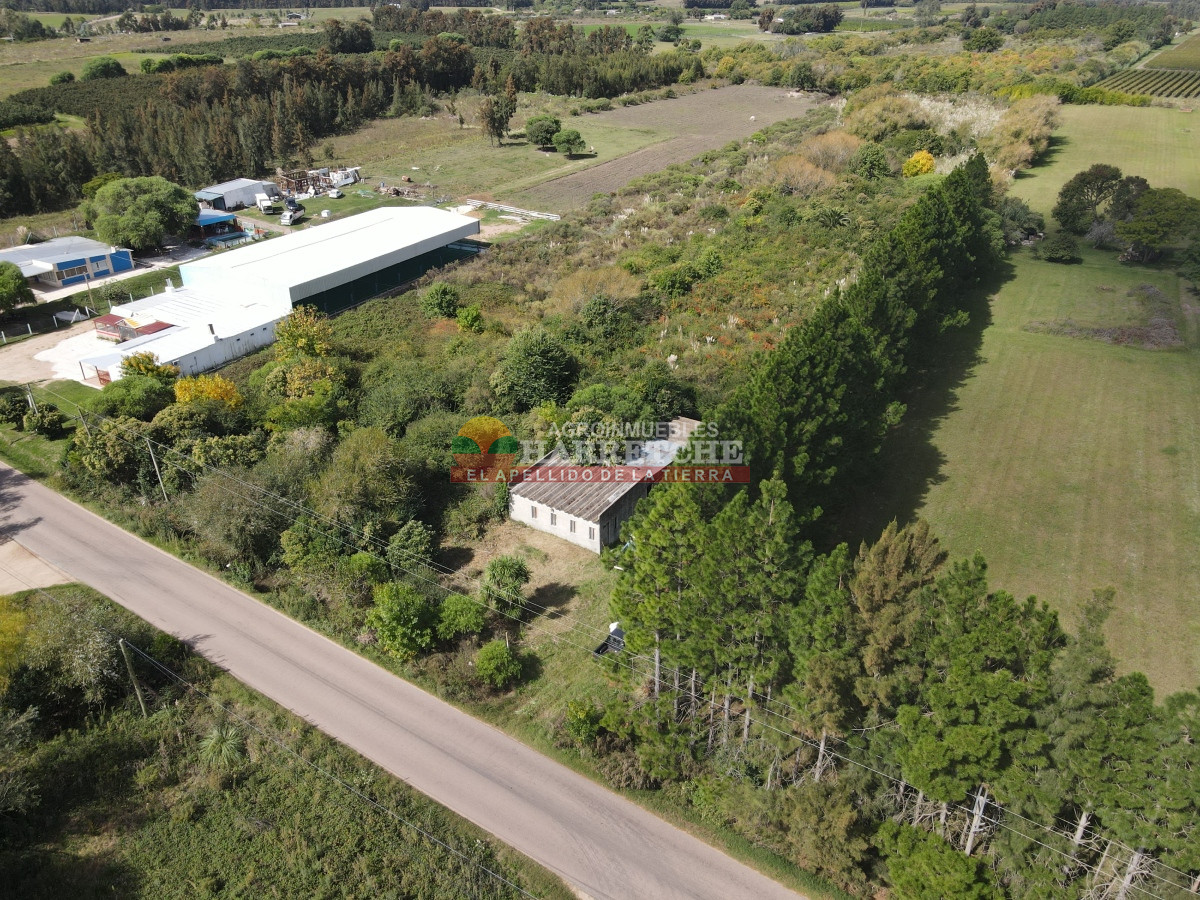 Chacra ID.374 - Chacra en Cuatro Piedras, 2 has con casa, galpón, muy buen lugar.