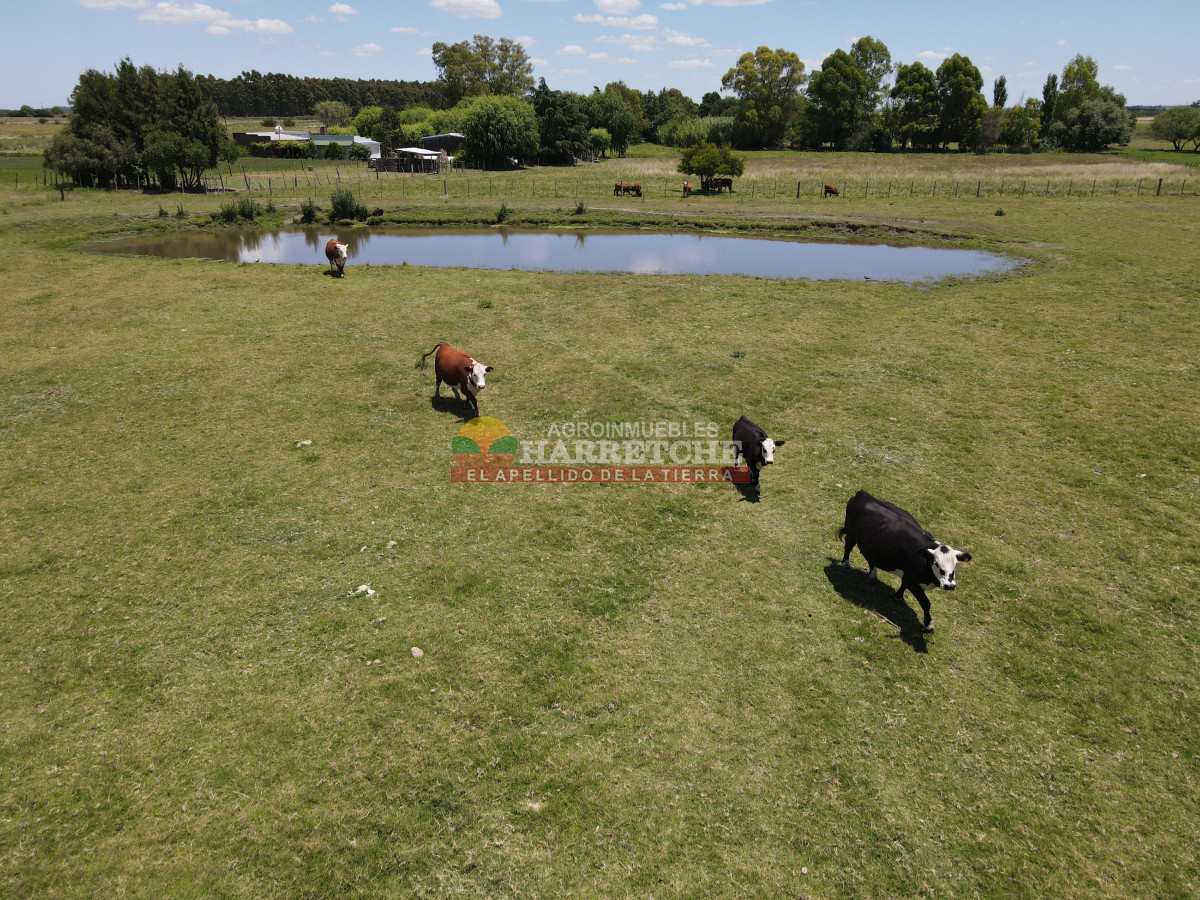 Chacra ID.431 - Chacra en Los Cerrillos, 5.7 has, Casa, barbacoa, galpones. 