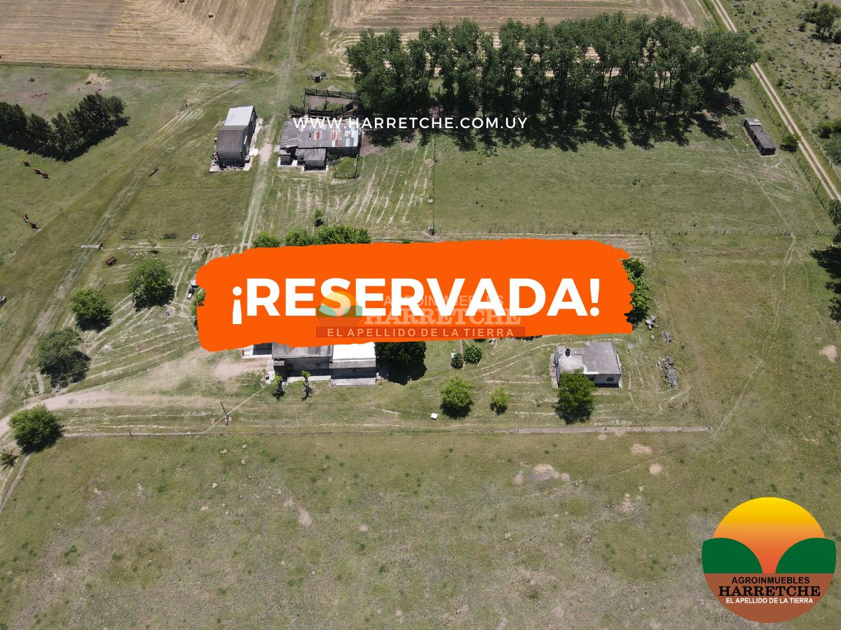 Chacra ID.431 - Chacra en Los Cerrillos, 5.7 has, Casa, barbacoa, galpones. 