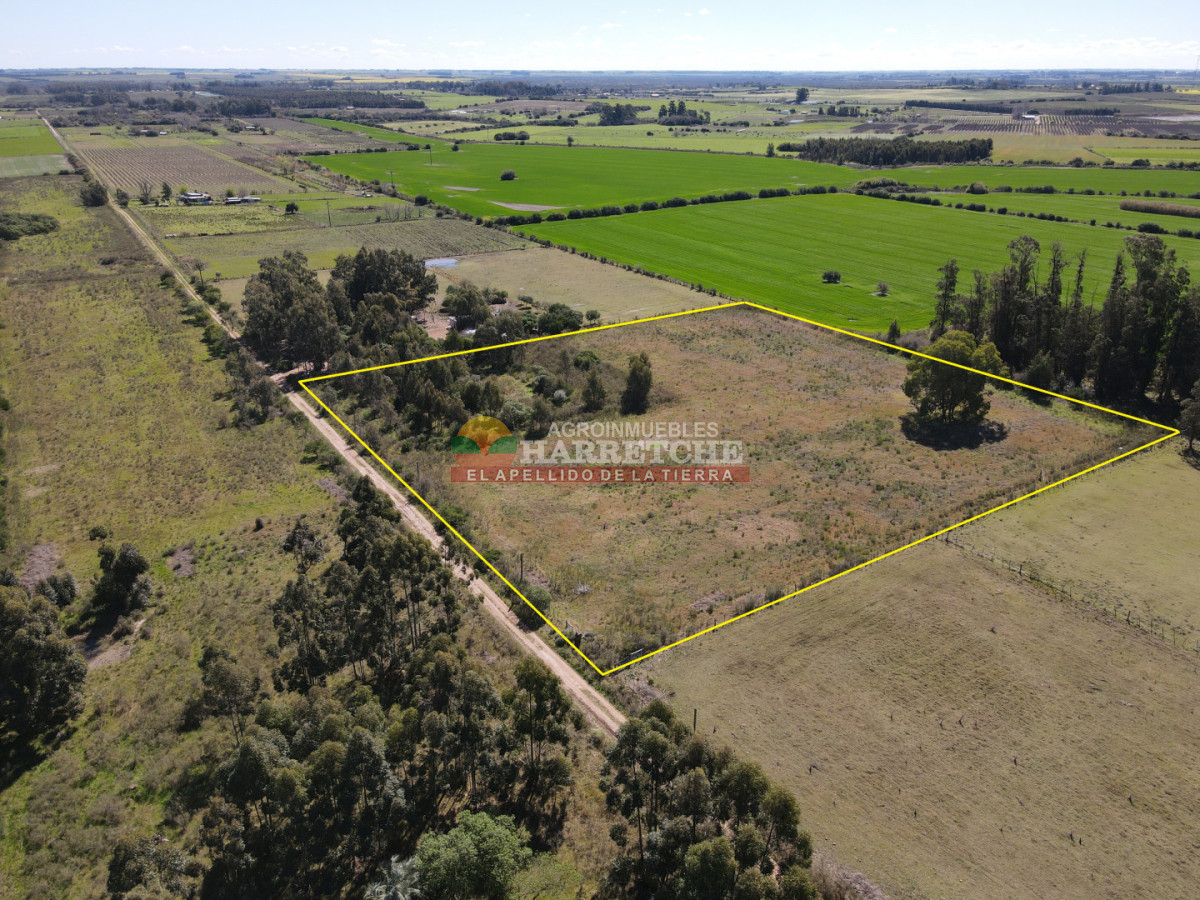 Chacra ID.538 - Chacra de 2 has en Los Cerrillos, zona alta, hermoso lugar!