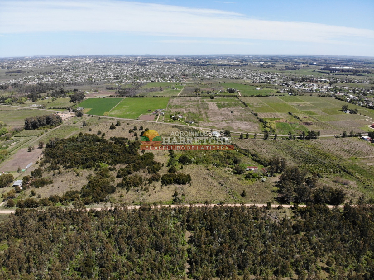 Chacra ID.389 - Chacra de 3 has, con instalaciones, a pasitos de Progreso! 