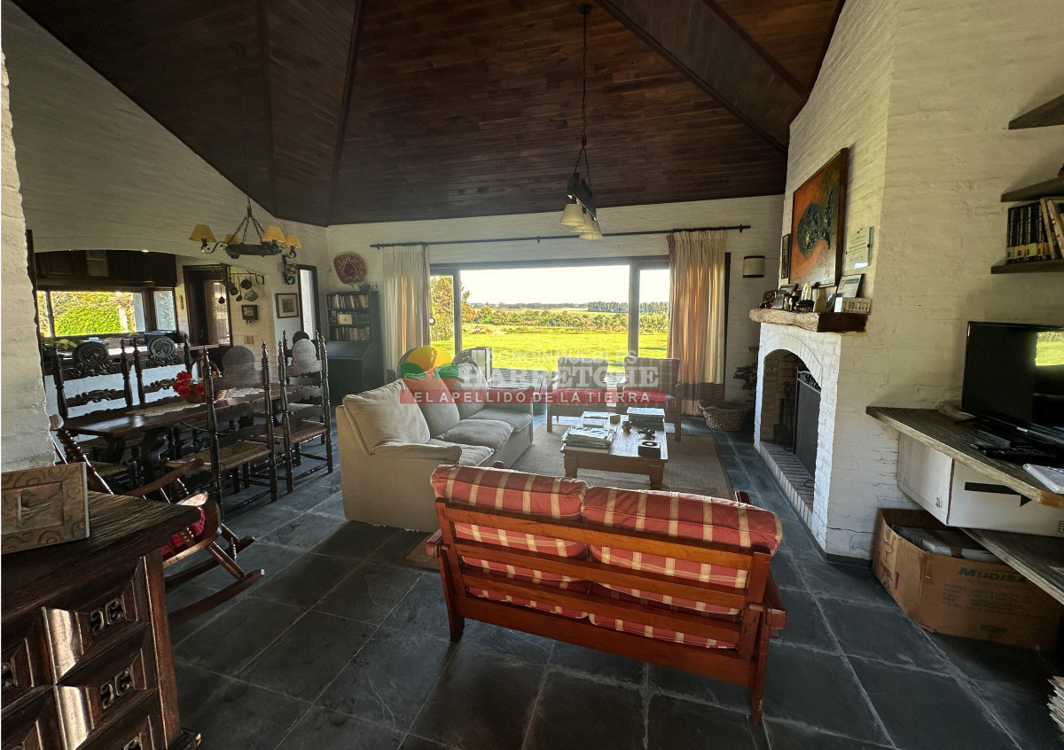 Chacra ID.474 - Campo de Olivos en venta, con fábrica de aceite y casa de ensueño