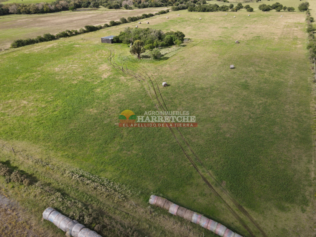 Chacra ID.384 - Chacra de 5 has en Los Cerrillos, cañada, alambrados, muy lindo entorno!
