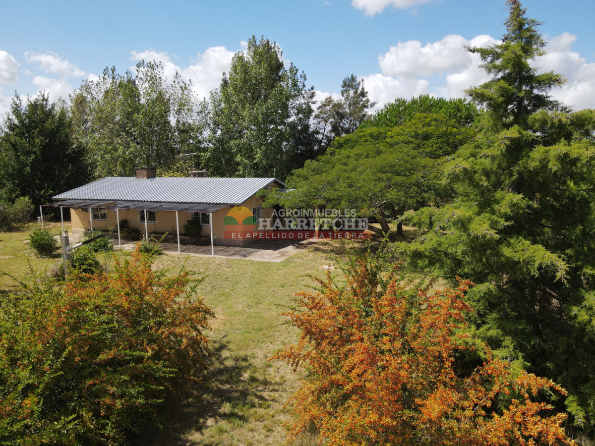 Chacra ID.511 - Chacra en Los Cerrillos, Villa Nueva, 4 has, 2 casas, hermoso entorno! AH-7244