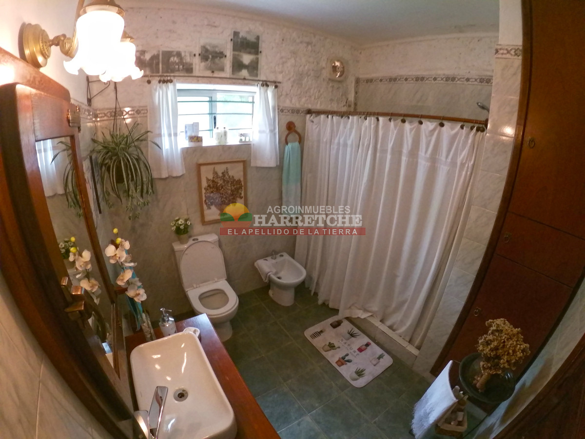 Chacra ID.452 - Chacra en venta en Cerrillos con casco antiguo ideal para emprendimiento. 