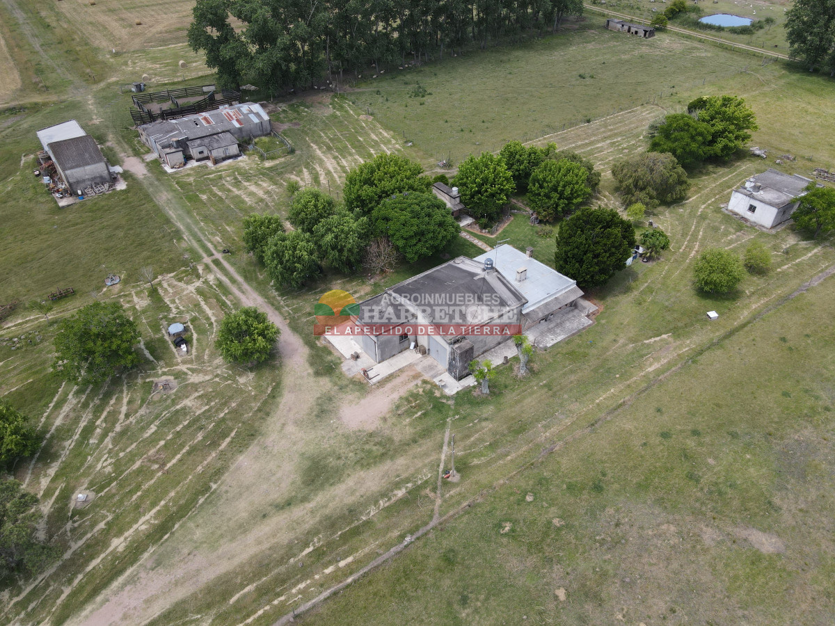Chacra ID.431 - Chacra en Los Cerrillos, 5.7 has, Casa, barbacoa, galpones. 