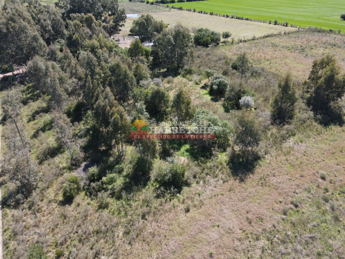 Chacra ID.538 - Chacra de 2 has en Los Cerrillos, zona alta, hermoso lugar!