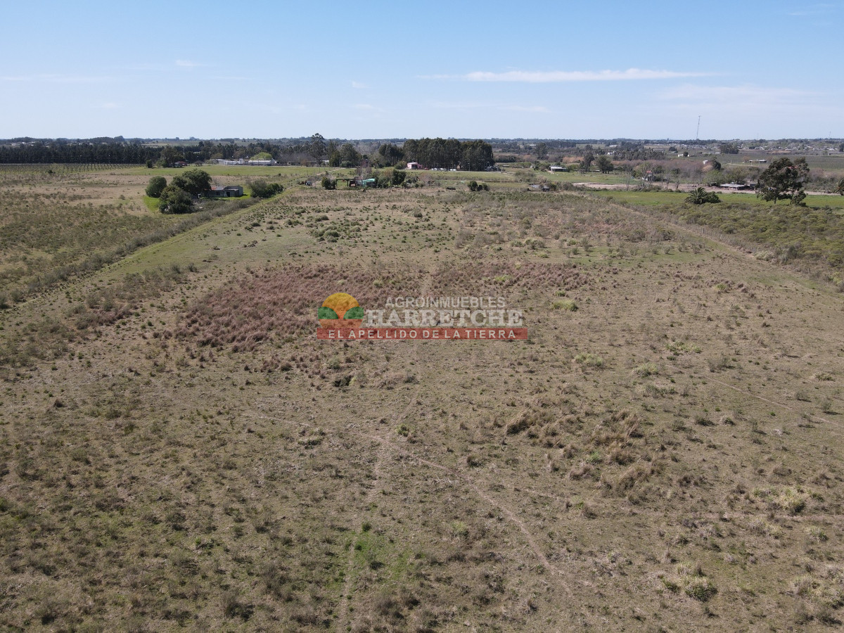 Chacra ID.333 - Chacra en Montevideo rural, 7 has muy bien ubicadas