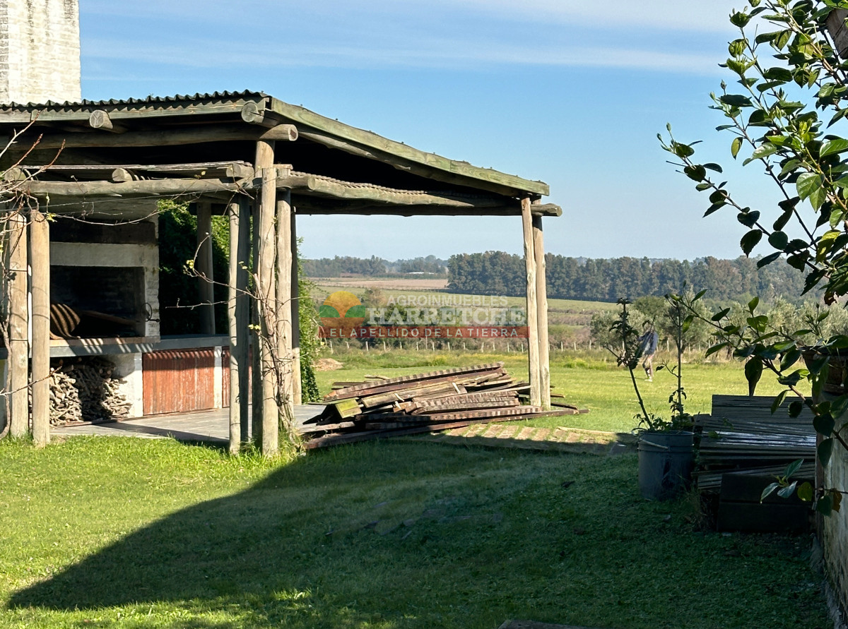 Chacra ID.474 - Campo de Olivos en venta, con fábrica de aceite y casa de ensueño