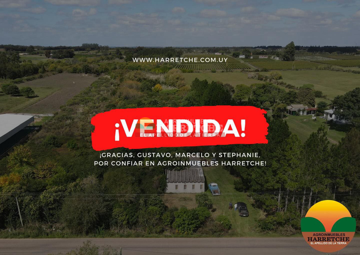 Chacra ID.374 - Chacra en Cuatro Piedras, 2 has con casa, galpón, muy buen lugar.