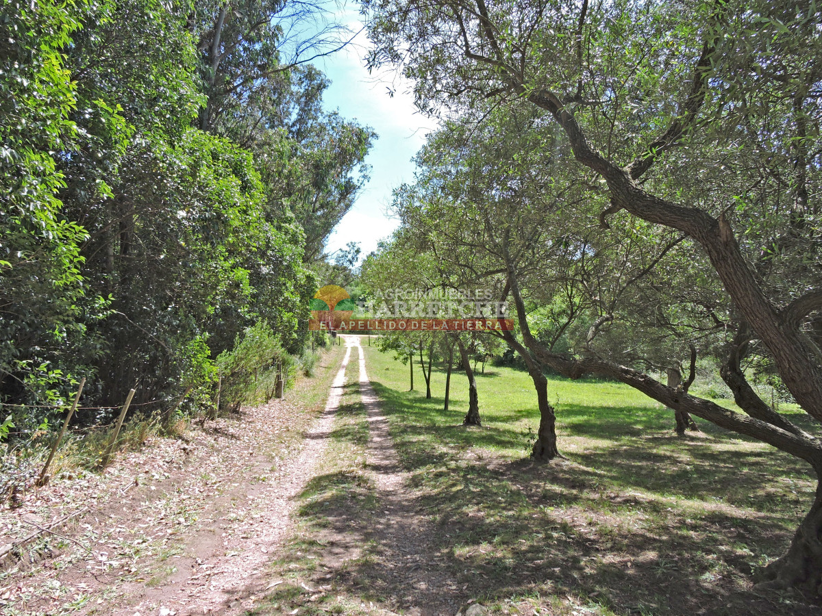 Chacra ID.419 - Chacra en venta Chalet con 6 dorm, 3 baños, parque, apta banco.