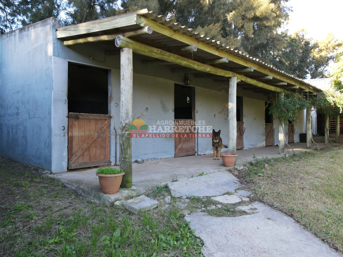 Chacra ID.446 - Chacra en Melilla, 3 has, hermoso casco, caballerizas, galpones, piscina