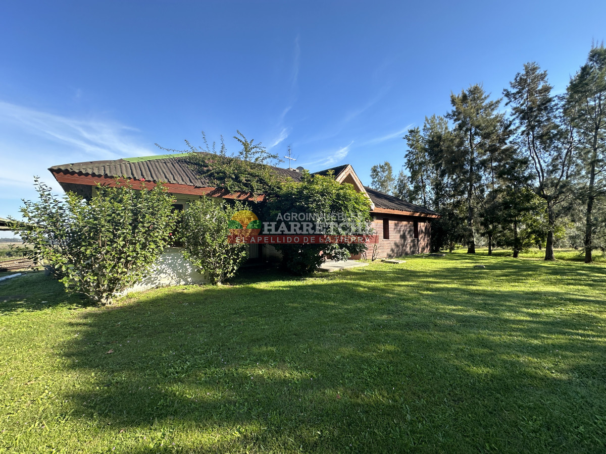 Chacra ID.474 - Campo de Olivos en venta, con fábrica de aceite y casa de ensueño