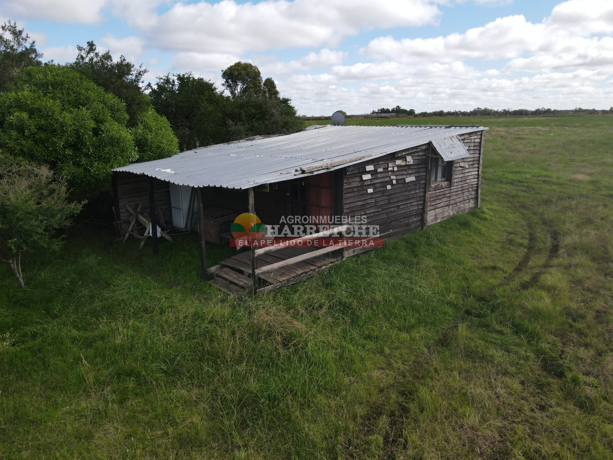 Chacra ID.384 - Chacra de 5 has en Los Cerrillos, cañada, alambrados, muy lindo entorno!
